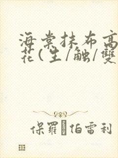 海棠抹布高岭之花(生/触/双)