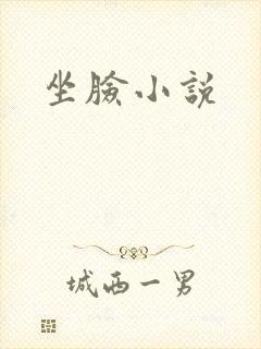 坐脸小说