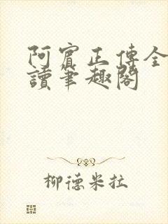 阿宾正传全文阅读笔趣阁