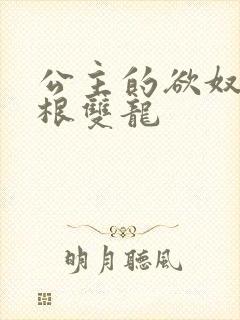公主的欲奴h四根双龙