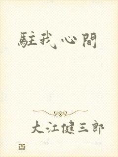 驻我心间封面