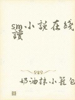 sm小说在线阅读
