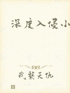 深度入侵小说