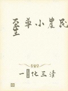 至尊小农民王木生