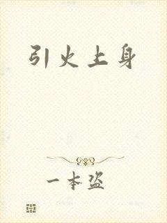 引火上身封面