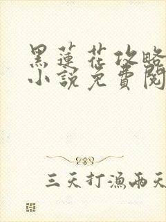黑莲花攻略手册小说免费阅读