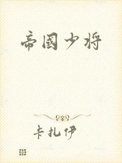 帝国少将封面