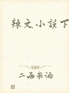 辣文小说下载