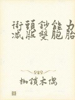 街头钞能力无删减版双胞胎