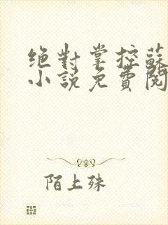 绝对掌控苏绵绵小说免费阅读全文封面