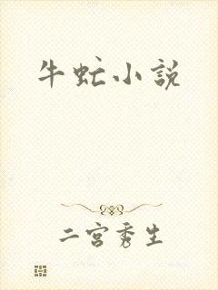 牛虻小说