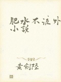 肥水不流外人田小说封面