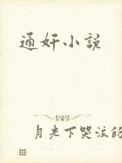 通奸小说