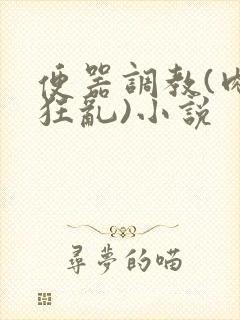 便器调教(肉体狂乱)小说封面
