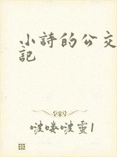 小诗的公交车日记