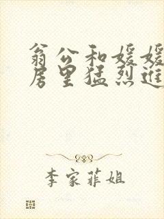 翁公和媛媛在厨房里猛烈进出