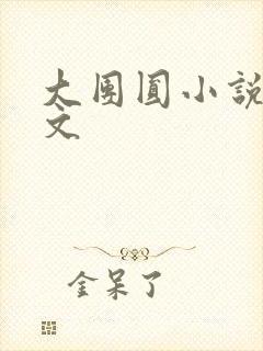 大团圆小说集全文