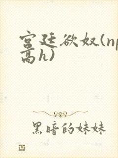 宫廷欲奴(np高h)