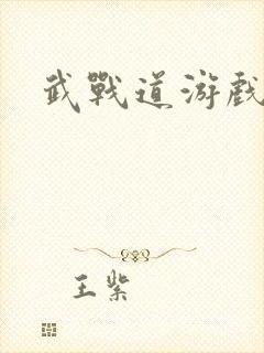 武战道游戏