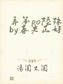 弄筝po陆殊词by春光正好封面