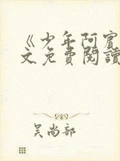 《少年阿宾》全文免费阅读