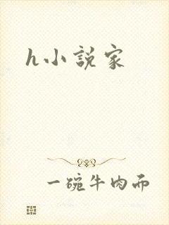 h小说家