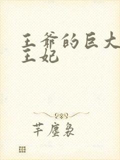 王爷的巨大进入王妃