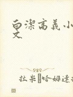 白洁高义小说全文