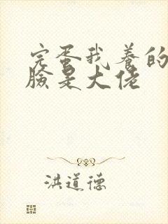 完蛋我养的小白脸是大佬