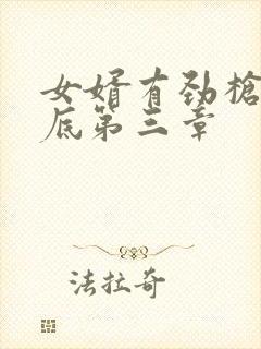 女婿有劲枪枪到底第三章