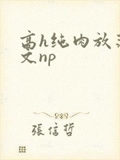 高h纯肉放荡h文np