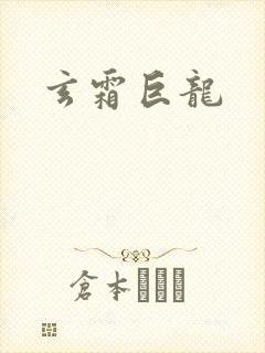 玄霜巨龙封面