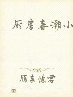 厨房春潮小说