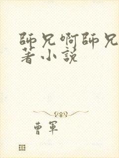 师兄啊师兄的原著小说封面