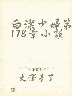 白洁少妇第1一178章小说