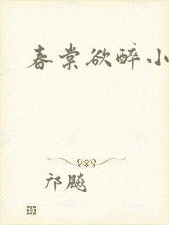 春棠欲醉小说