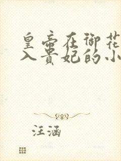皇帝在御花园进入贵妃的小说封面