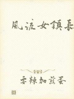 风流女镇长封面