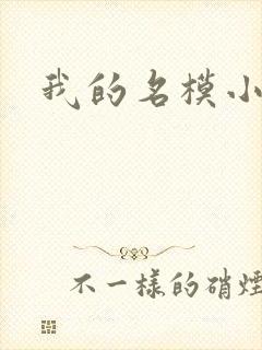 我的名模小娇妻