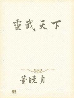 灵武天下