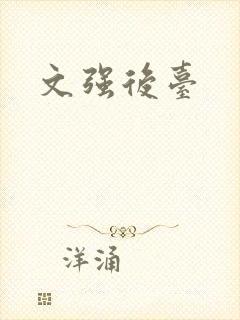 文强后台