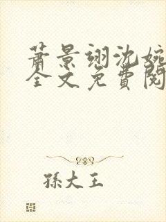 萧景翊沈婉小说全文免费阅读封面