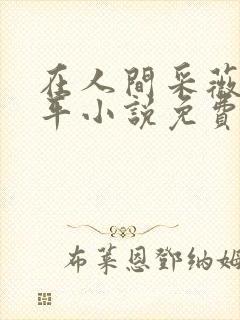 在人间采薇陆三平小说免费阅读