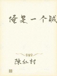 俺是一个贼