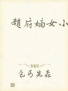 赵府嫡女小说封面
