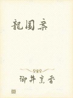 龙图案封面