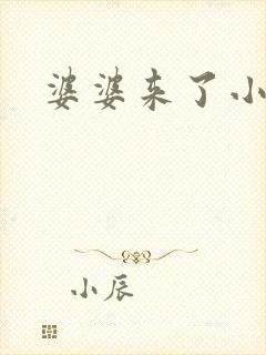 婆婆来了小说