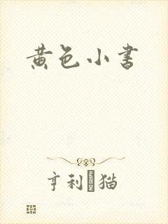 黄色小书