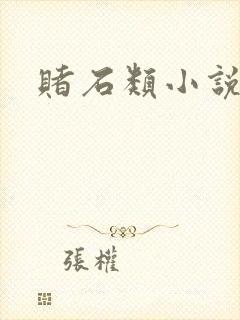 赌石类小说