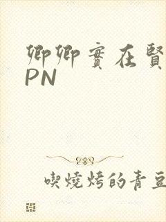 卿卿实在贤良NPN